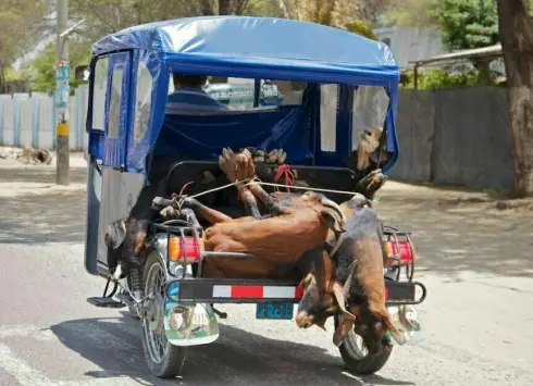 tuk tuk à vendre madagascar