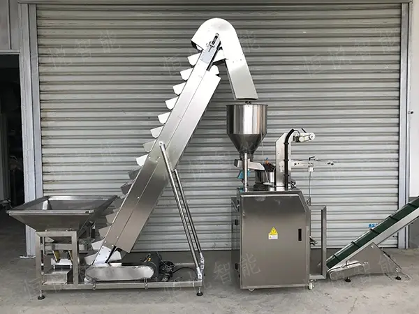 Small pouch packing machine