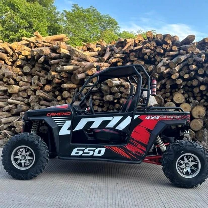 buggy todo terreno precio