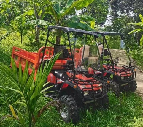 cuatrimoto de carga especial para trabajo con cardan cuatrimoto de carga especial para trabajo con cardan