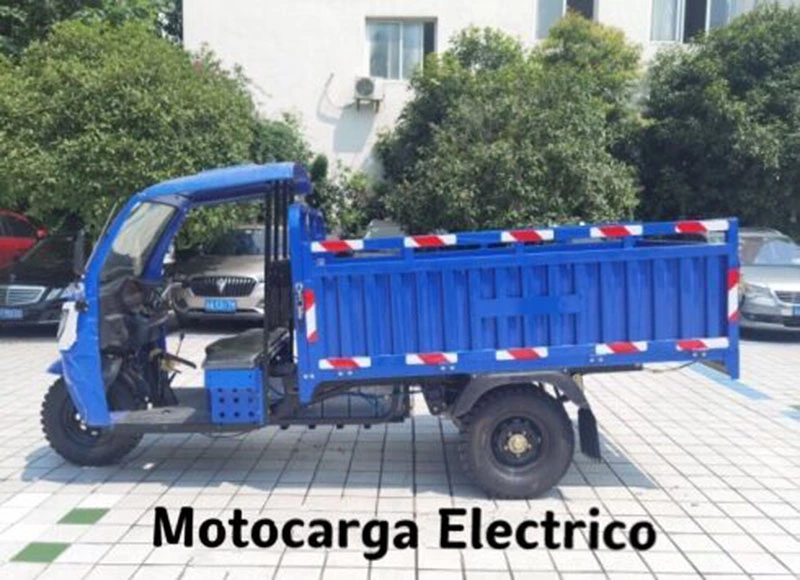 MOTOCARRO ELECTRICO 