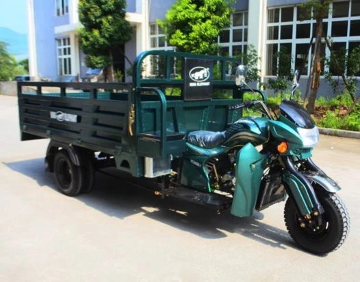 motocarguero villavicencio