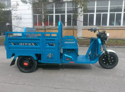 motocarro electrico barranquilla